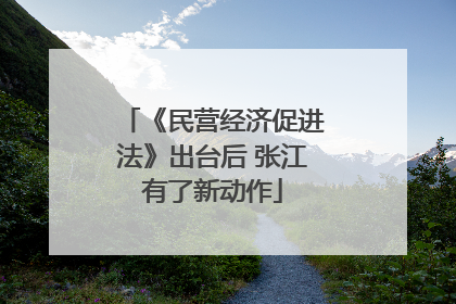 《民营经济促进法》出台后 张江有了新动作