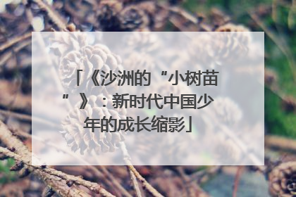 《沙洲的“小树苗”》：新时代中国少年的成长缩影