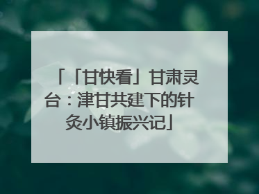 「甘快看」甘肃灵台：津甘共建下的针灸小镇振兴记