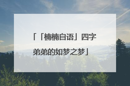 「楠楠自语」四字弟弟的如梦之梦