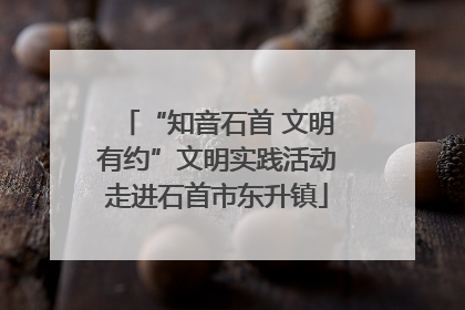 “知音石首 文明有约”文明实践活动走进石首市东升镇