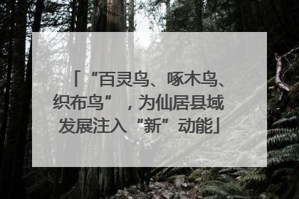“百灵鸟、啄木鸟、织布鸟”，为仙居县域发展注入“新”动能