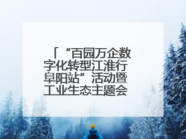 “百园万企数字化转型江淮行阜阳站”活动暨工业生态主题会议成功举办