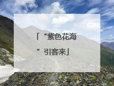 “紫色花海”引客来
