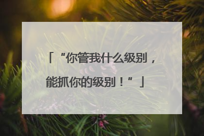 “你管我什么级别，能抓你的级别！”