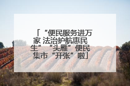 “便民服务进万家 法治护航惠民生”“头雁”便民集市“开张”啦