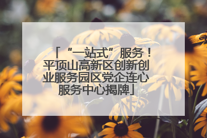“一站式”服务！平顶山高新区创新创业服务园区党企连心服务中心揭牌