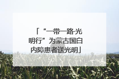 “一带一路·光明行”为蒙古国白内障患者送光明