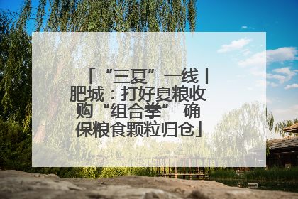 “三夏”一线丨肥城：打好夏粮收购“组合拳” 确保粮食颗粒归仓