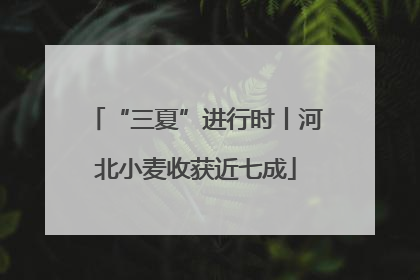 “三夏”进行时丨河北小麦收获近七成