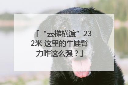 “云梯横渡”232米 这里的牛娃臂力咋这么强？
