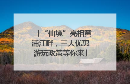 “仙境”亮相黄浦江畔，三大优惠游玩政策等你来
