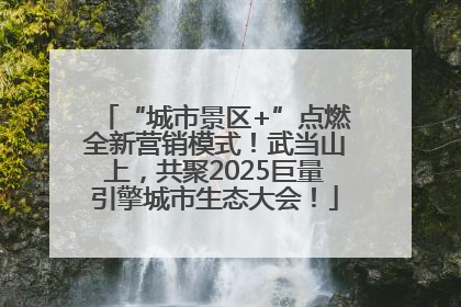 “城市景区+”点燃全新营销模式！武当山上，共聚2025巨量引擎城市生态大会！