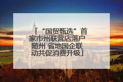 “国贸甄选”首家市州联营店落户随州 省地国企联动共促消费升级