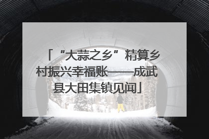 “大蒜之乡”精算乡村振兴幸福账——成武县大田集镇见闻
