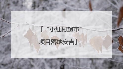 “小红村超市”项目落地安吉