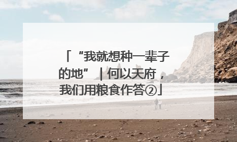 “我就想种一辈子的地”｜何以天府，我们用粮食作答②