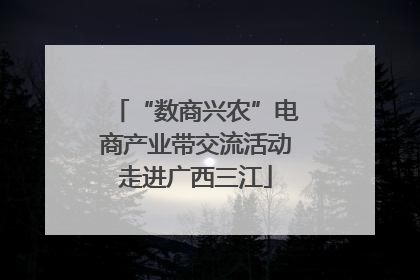“数商兴农”电商产业带交流活动走进广西三江