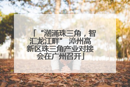 “潮涌珠三角，智汇龙江畔” 漳州高新区珠三角产业对接会在广州召开