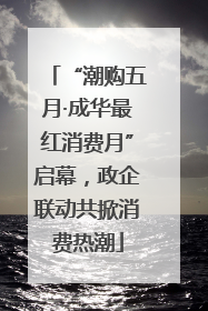 “潮购五月·成华最红消费月”启幕，政企联动共掀消费热潮