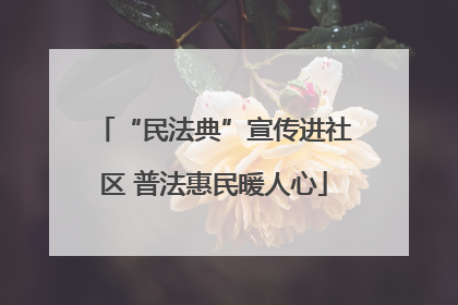 “民法典”宣传进社区 普法惠民暖人心