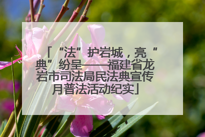 “法”护岩城，亮“典”纷呈——福建省龙岩市司法局民法典宣传月普法活动纪实