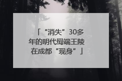 “消失”30多年的明代蜀端王陵在成都“现身”