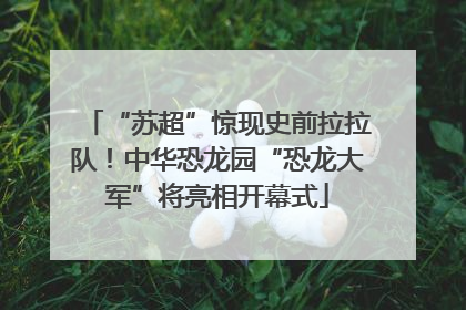 “苏超”惊现史前拉拉队！中华恐龙园“恐龙大军”将亮相开幕式