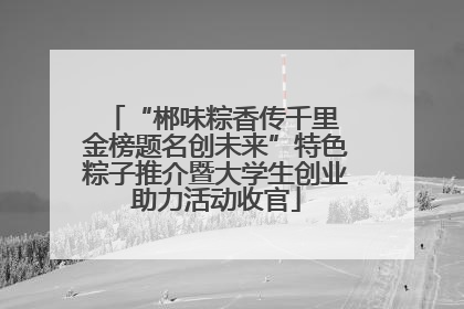 “郴味粽香传千里 金榜题名创未来”特色粽子推介暨大学生创业助力活动收官
