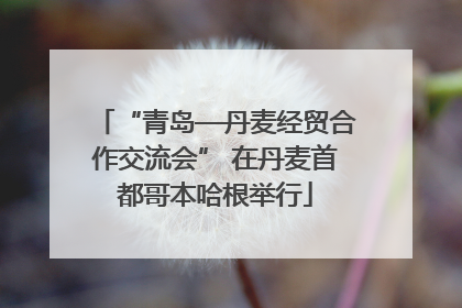 “青岛—丹麦经贸合作交流会” 在丹麦首都哥本哈根举行
