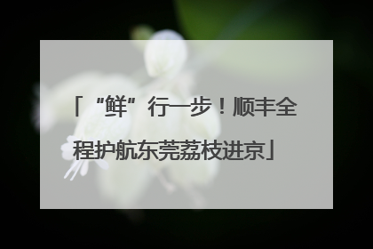 “鲜”行一步！顺丰全程护航东莞荔枝进京