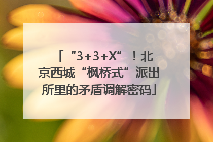 “3+3+X”！北京西城“枫桥式”派出所里的矛盾调解密码
