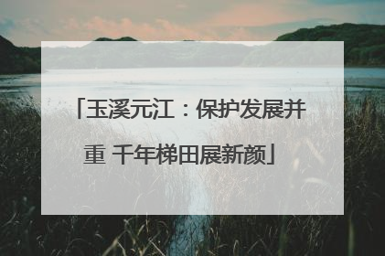 玉溪元江：保护发展并重 千年梯田展新颜