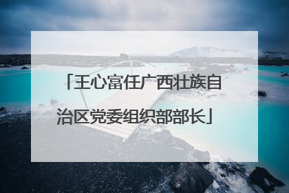 王心富任广西壮族自治区党委组织部部长