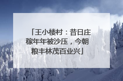 王小楼村：昔日庄稼年年被沙压，今朝粮丰林茂百业兴