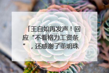 王自如再发声！回应“不看格力工资条”，还感谢了董明珠和雷军｜热财经
