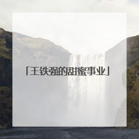 王铁强的甜蜜事业
