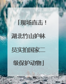 现场直击！湖北竹山护林员实拍国家二级保护动物