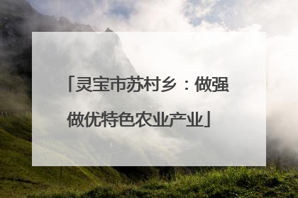 灵宝市苏村乡：做强做优特色农业产业