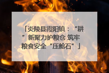 炎陵县霞阳镇：“耕”新聚力护粮仓 筑牢粮食安全“压舱石”