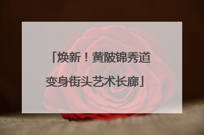 焕新！黄陂锦秀道变身街头艺术长廊