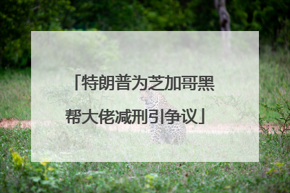 特朗普为芝加哥黑帮大佬减刑引争议