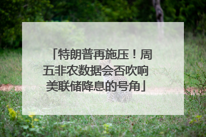 特朗普再施压！周五非农数据会否吹响美联储降息的号角