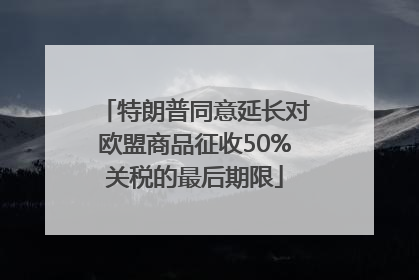 特朗普同意延长对欧盟商品征收50%关税的最后期限