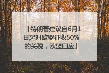 特朗普建议自6月1日起对欧盟征收50%的关税，欧盟回应