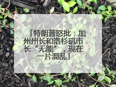 特朗普怒批：加州州长和洛杉矶市长“无能”，现在一片混乱