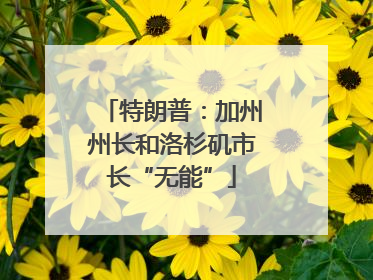 特朗普：加州州长和洛杉矶市长“无能”