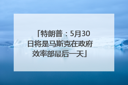 特朗普：5月30日将是马斯克在政府效率部最后一天