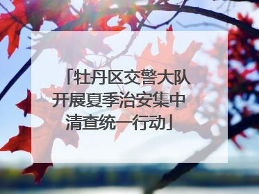 牡丹区交警大队开展夏季治安集中清查统一行动