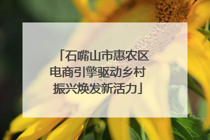 石嘴山市惠农区电商引擎驱动乡村振兴焕发新活力